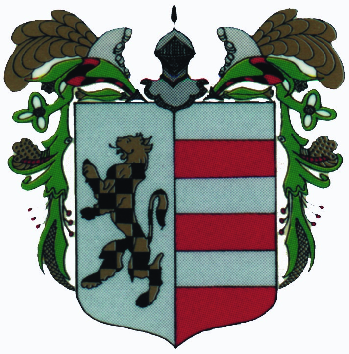 Castello SanPietro logo colori