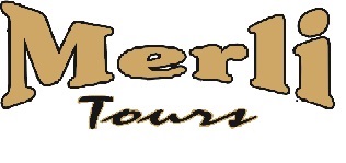 MERLI MONICA LOGO