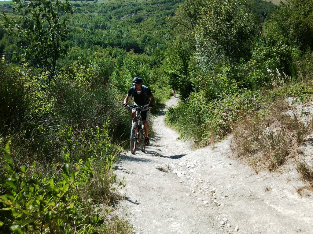 castelli03