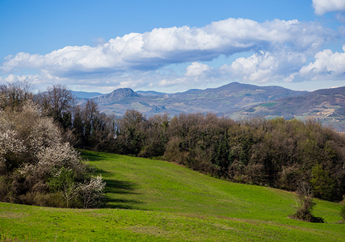 Vallate