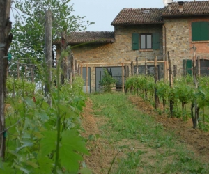 Azienda Baraccone