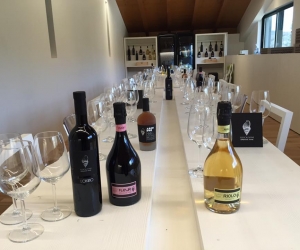 Illica Vini