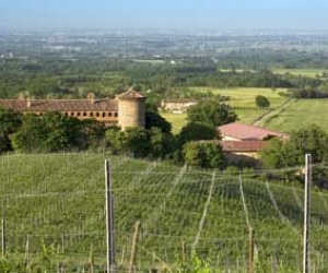 Luretta