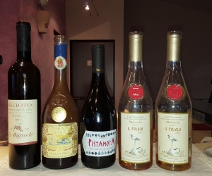 Lusenti Vini