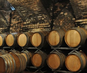Cantine Romagnoli 