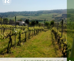 Cantine Romagnoli 