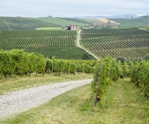 Cantina Valtidone