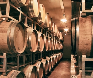 Cantina Valtidone