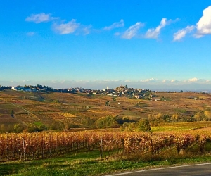 Cantina di Vicobarone