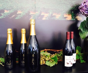 Cantina di Vicobarone